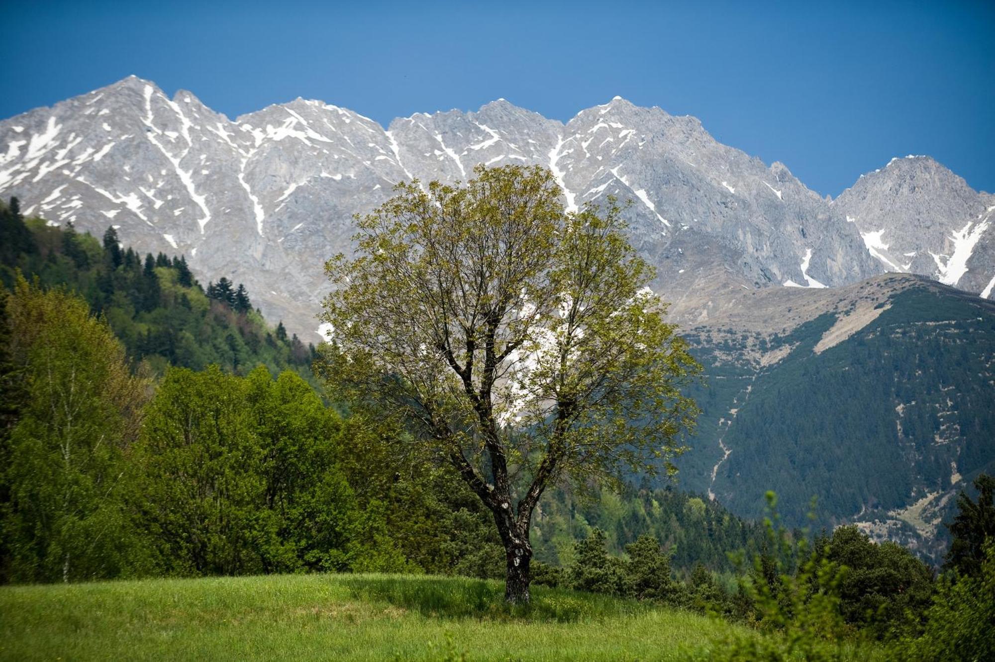 Kasperhof Apartments Innsbruck Top 6 - 7 Zewnętrze zdjęcie