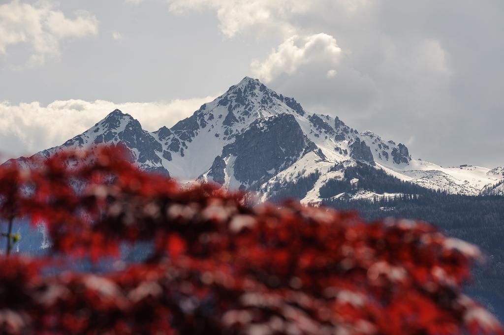 Kasperhof Apartments Innsbruck Top 6 - 7 Zewnętrze zdjęcie